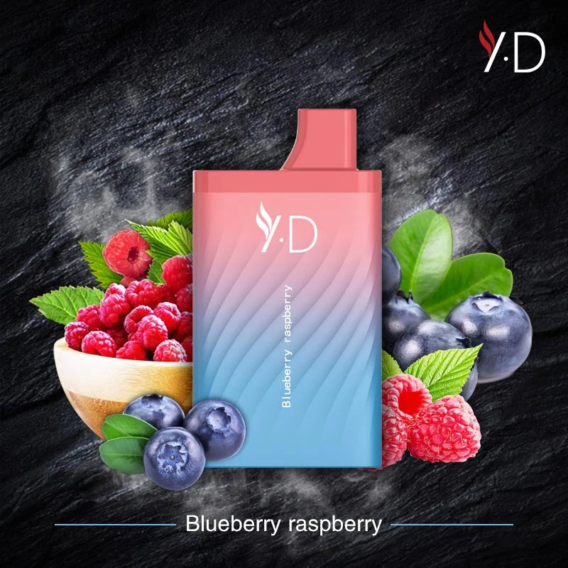 Yd OEM/ODM E Cigarette Manufacturer Wholesale USA New Arrival Electronic Cigarette 10000 Puffs Mesh Coil Disposable Electronic Cigarette for Health